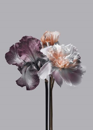 Framed Virtue 1 Print