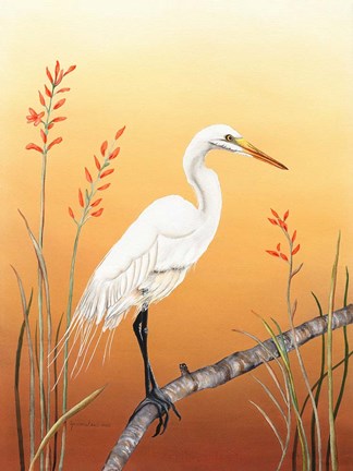 Framed Warm Sky Print