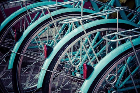 Framed Bicycle Line Up 2 Print
