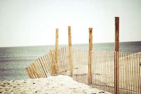 Framed Wooden Beach Fence Print