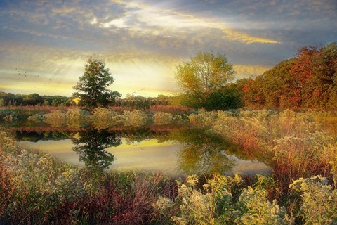 Framed Arrival of Dawn Print