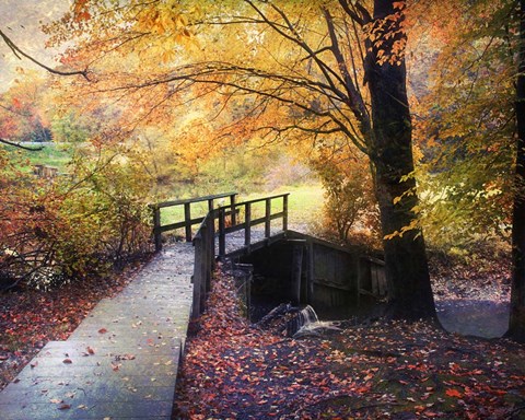 Framed Foot Bridge Print