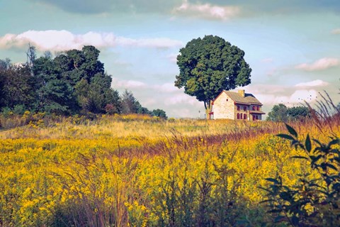 Framed House on a Hill Print