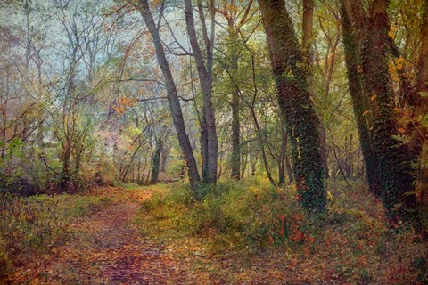 Framed Poetic Season Print