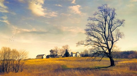 Framed When I Come Back Print