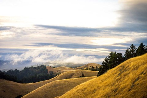 Framed By Mass Form &amp; Time Print