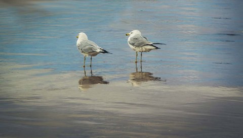 Framed Silent They Wait Print