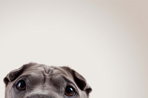 Framed Pelei's Eyes Print