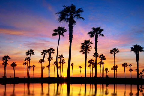 Framed Prelude Print