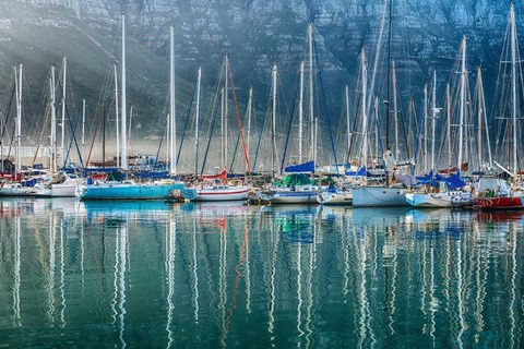 Framed Hout Bay Harbor, Hout Bay South Africa Print
