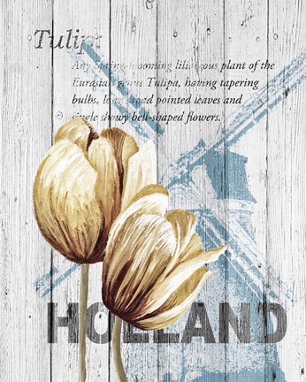 Framed Holland Tulips Print