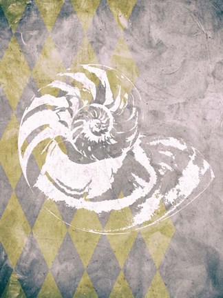 Framed Vintage Harlequin Shell 1 Print