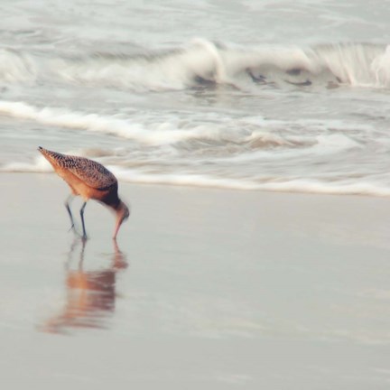 Framed Soft Sea Print