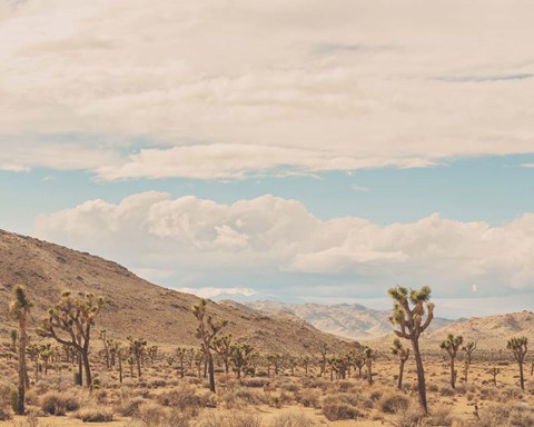 Framed Untitled No. 10 Print