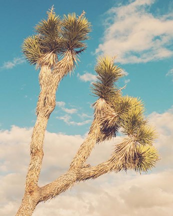 Framed Untitled No. 2 Print