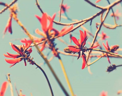 Framed You're So Far Away Print