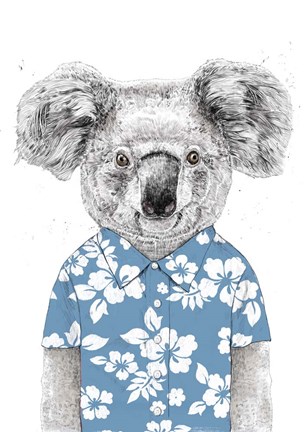 Framed Summer Koala (Blue) Print