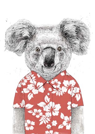 Framed Summer Koala (Red) Print