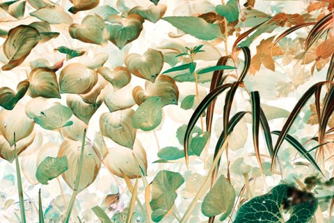 Framed Autumn Fantasy Print