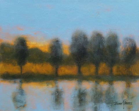 Framed Line of Reflections Print