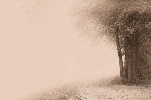 Framed Gate to Infinity Print