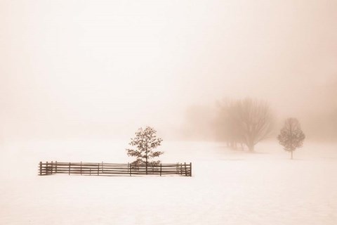 Framed Isolated Print