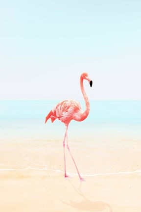 Framed Flamingo on the Beach II Print