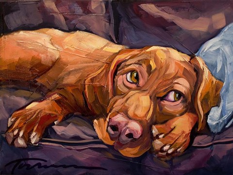 Framed Beauty Rest Print