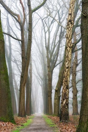 Framed At the End You Will Find a New Beginning Print