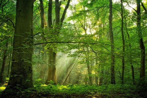 Framed Breathe Print