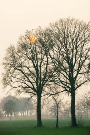 Framed Preparing for Sunset Print