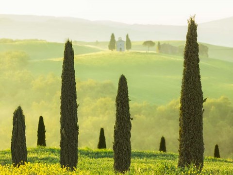 Framed Tuscan Temple Print