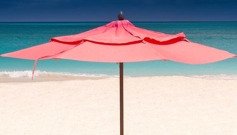 Framed Solo Umbrella Print