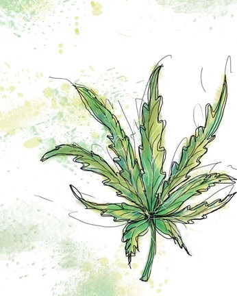 Framed Maui Sunset Print