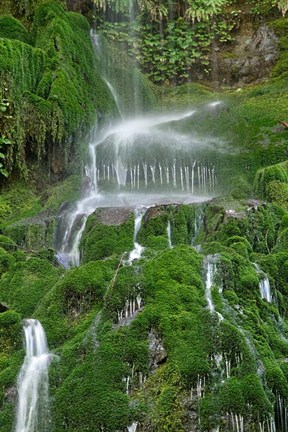 Framed Moss Waterfall Print