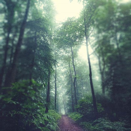Framed Waldweg Print