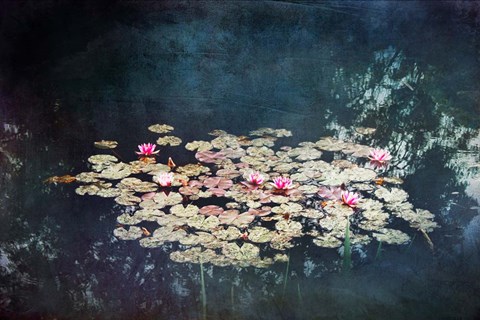 Framed Waterlilies Print