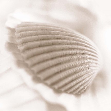 Framed Atlantis 3 Print