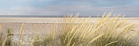 Framed Island Sand Dunes Print