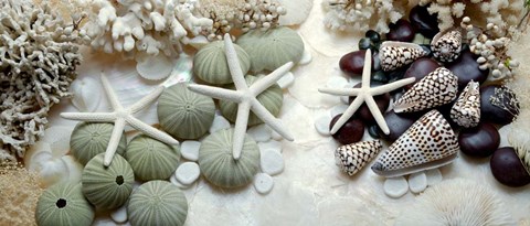 Framed Island Tide Pool No. 2 Print