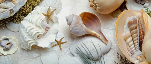 Framed Island Tide Pool No. 3 Print