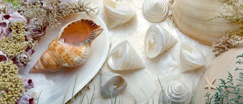 Framed Island Tide Pool No. 6 Print