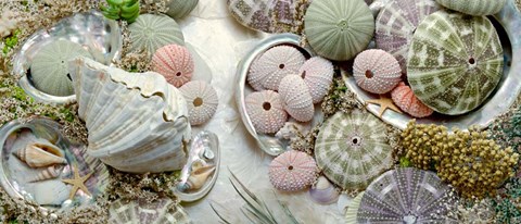 Framed Island Tide Pool No. 7 Print