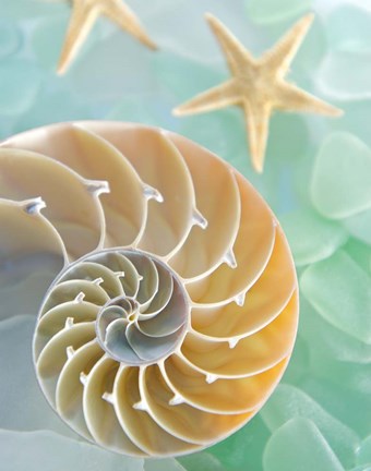 Framed Seaglass 2 Print