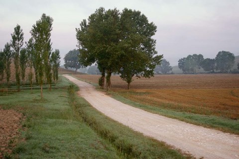 Framed Toscana Valle No.2 Print