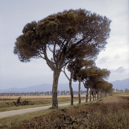 Framed Tuscan Fatorria Strada No. 1 Print