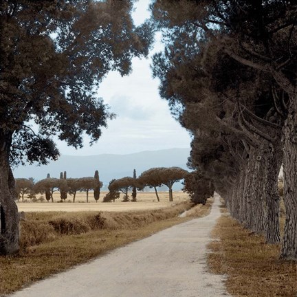 Framed Tuscan Fatorria Strada No. 2 Print