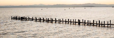 Framed Vintage Pier Morning Vista Print