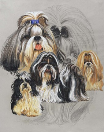 Framed Shit Tzu Print