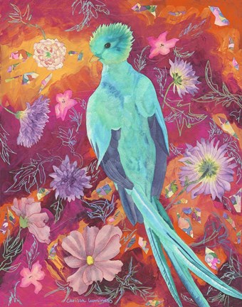 Framed Quetzecal Print